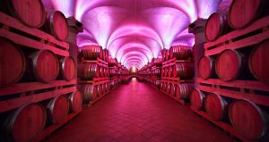 Berta Distillery Cellar