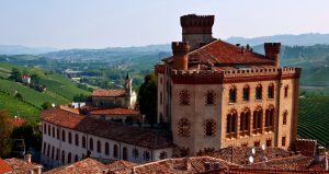 Castle in Barolo